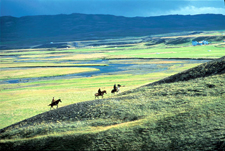 Iceland-East and South-Eastern Symphony - Horses and Puffins